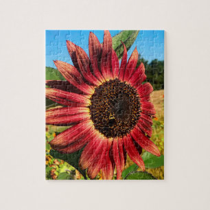 Rote Sonnenblume mit Biene Puzzle