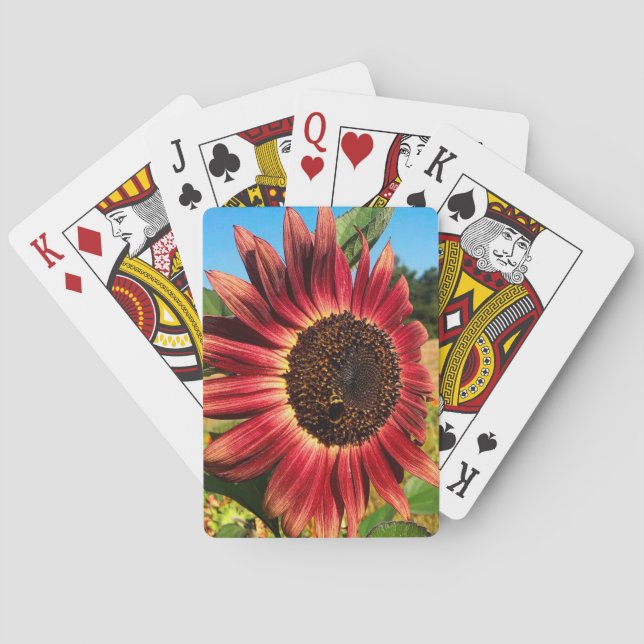 Rote Sonnenblume mit Biene Spielkarten (Rückseite)