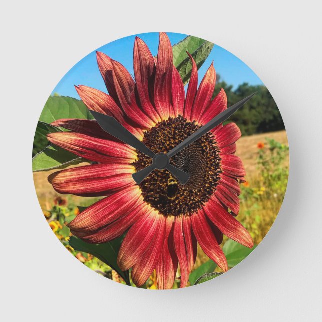 Rote Sonnenblume Runde Wanduhr (Vorderseite)