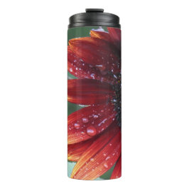 Rote Sonnenblume Thermosbecher