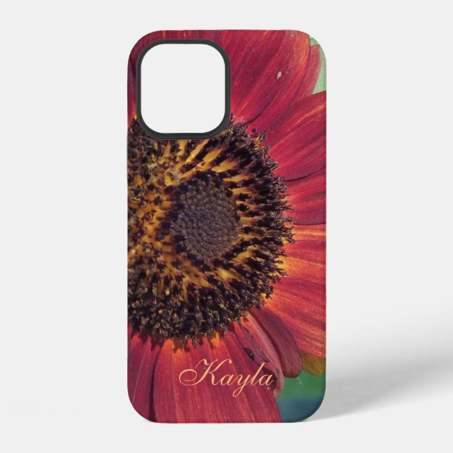 Rote Sonnenblumen *personalize* iPhone Hülle (Rückseite)