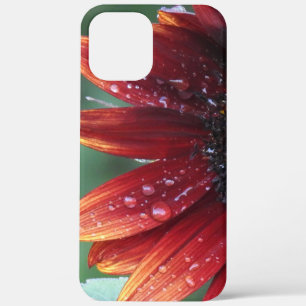 Rote Sonnenblumenblätter und Regenfälle Case-Mate iPhone Hülle