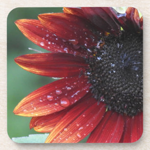 Rote Sonnenblumenblätter und Regenfälle Getränkeuntersetzer