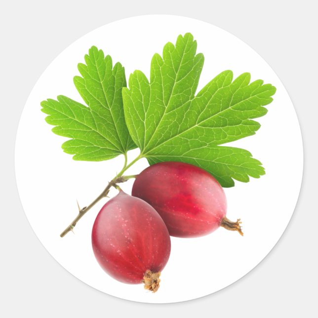 Rote Stachelbeeren Runder Aufkleber (Vorderseite)