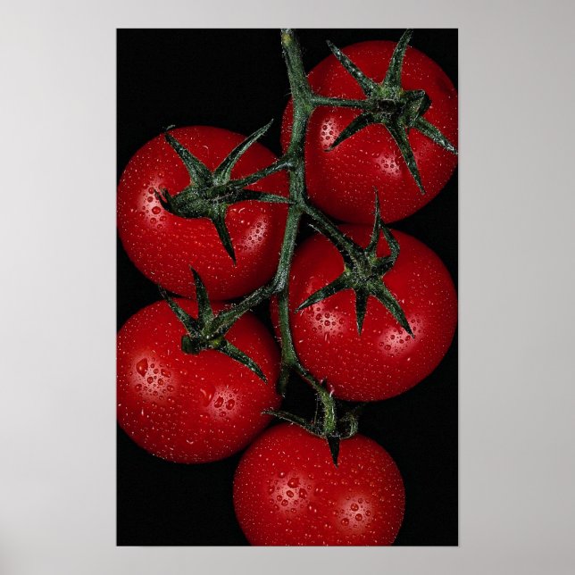 Rote Tomaten, frisch und saftig Poster (Vorne)
