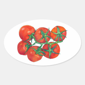 Rote Tomaten/Paradeiser Ovalaufkleber Ovaler Aufkleber