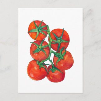 Rote Tomaten Postkarte