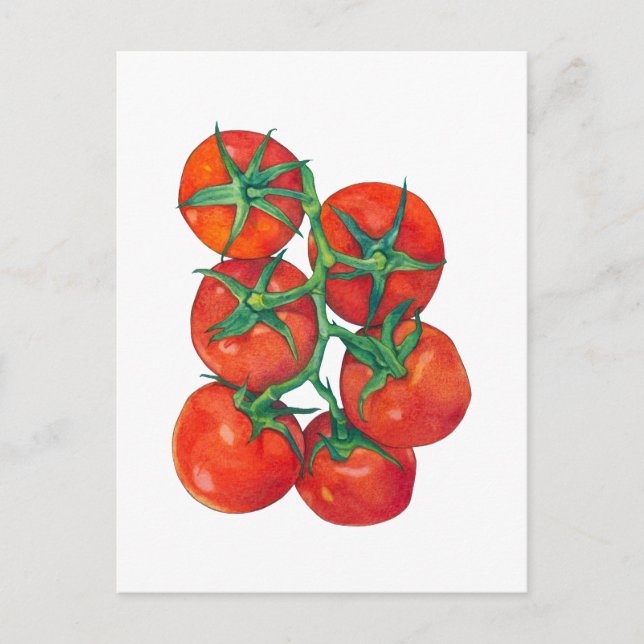 Rote Tomaten Postkarte (Vorderseite)