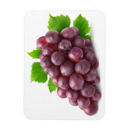 Rote Traube Magnet