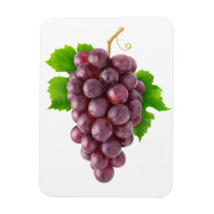 Rote Trauben Magnet