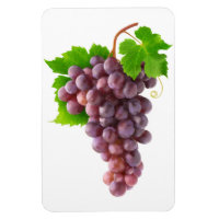 Rote Trauben