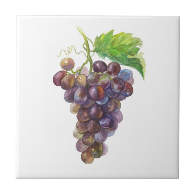 Rote Trauben. Wasserfarben Kunst Fliese (Vorderseite)