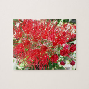 Rote Tropenflora der Bottlebrush-Blume Puzzle