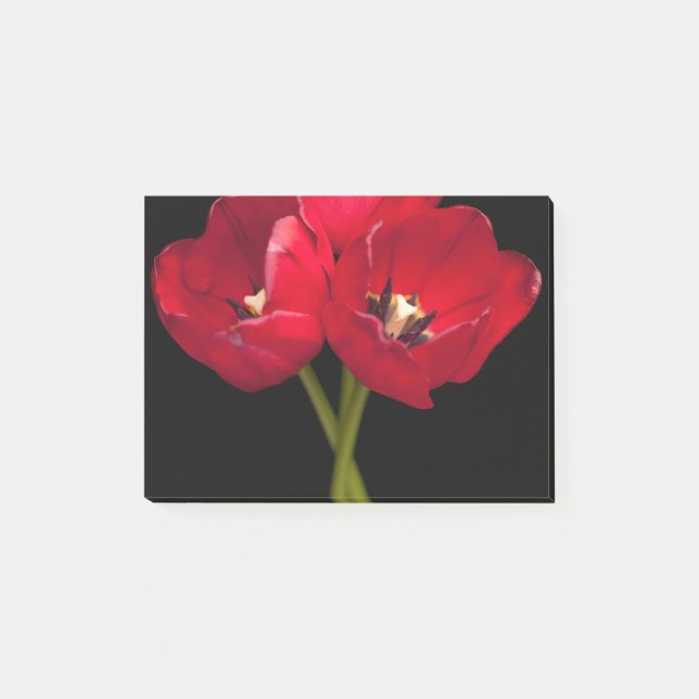 Rote Tulip Blume Schwarzer Hintergrund Flora Blume Post-it Klebezettel (Vorderseite)