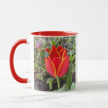 Rote Tulip-Tasse