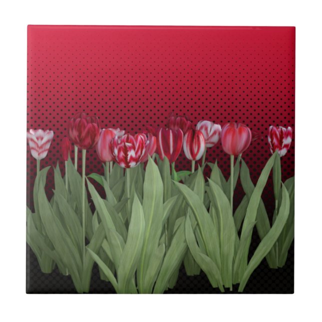 Rote Tulips auf Gradient Fliese (Vorderseite)