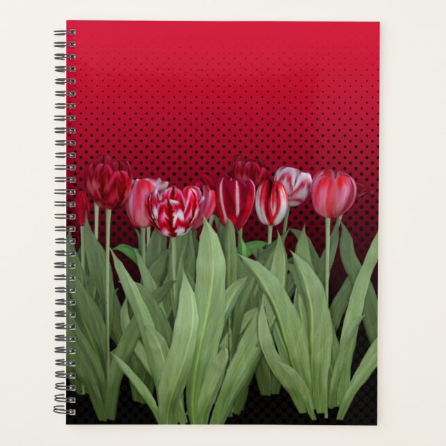 Rote Tulips auf Gradient Planer (Vorderseite)