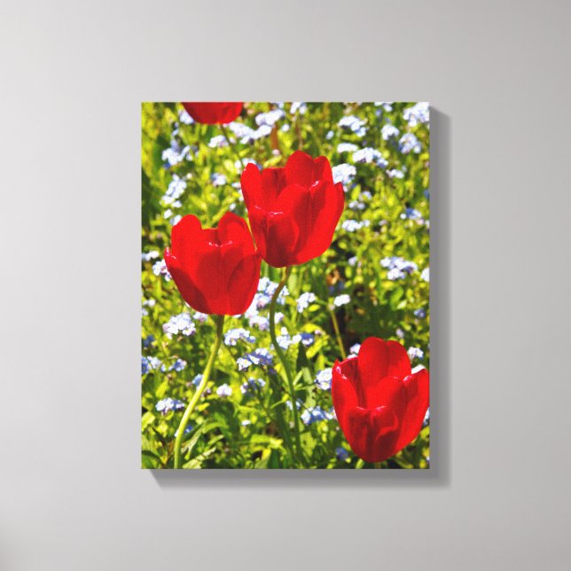 Rote Tulips in den Feldern Leinwanddruck (Vorderseite)