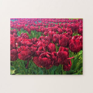 Rote Tulips in einem Feld, Oregon Puzzle