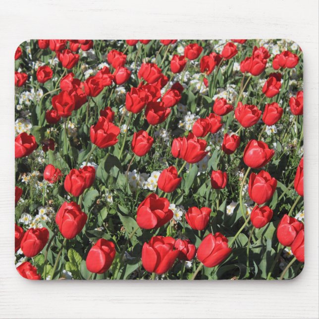 Rote Tulips und weiße Primrosen Mousepad (Vorne)