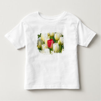 Rote Tulpe auf einem Gebiet der weißen Tulpen Kleinkind T-shirt