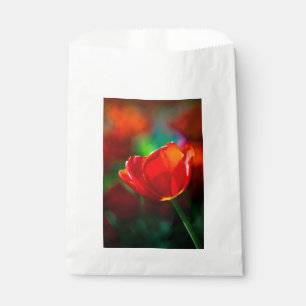 Rote Tulpe - Geheimnis der Blütenbildung Geschenktütchen