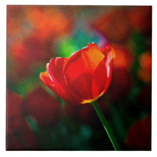 Rote Tulpe - Mysterium der Blüte Fliese