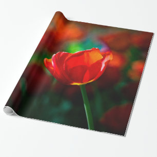 Rote Tulpe - Mysterium der Blüte Geschenkpapier