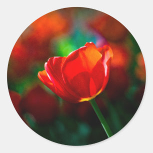 Rote Tulpe - Mysterium der Blüte Runder Aufkleber