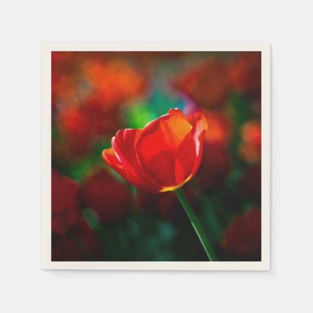 Rote Tulpe - Mysterium der Blüte Serviette (Vorderseite)