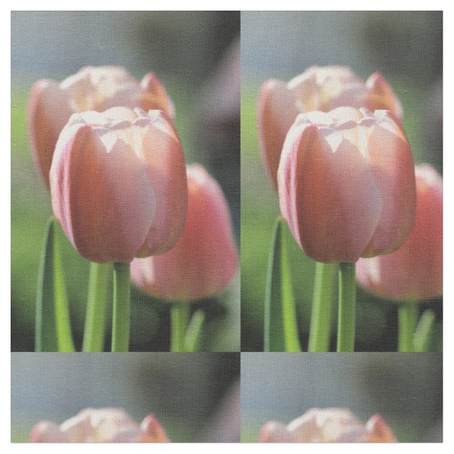 Rote Tulpe Stoff (Nahaufnahme)