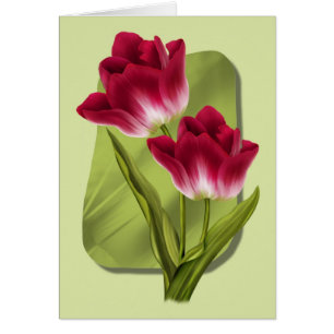Rote Tulpen