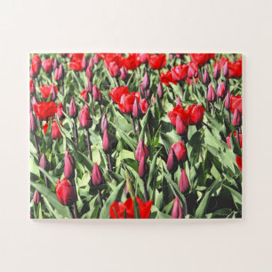 Rote Tulpen 30-pc Puzzle