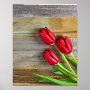 Rote Tulpen aus rustikalem Holz Poster