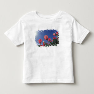 Rote Tulpen aus sehr geringem Winkel, Cincinnati, Kleinkind T-shirt