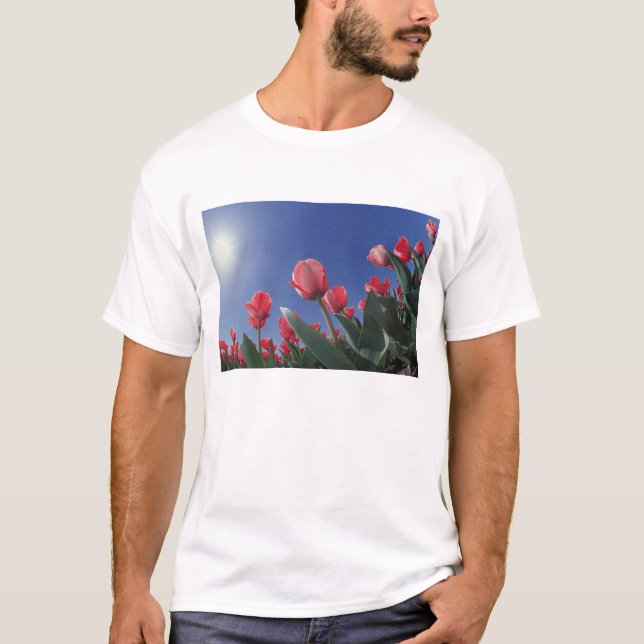 Rote Tulpen aus sehr geringem Winkel, Cincinnati, T-Shirt (Vorderseite)