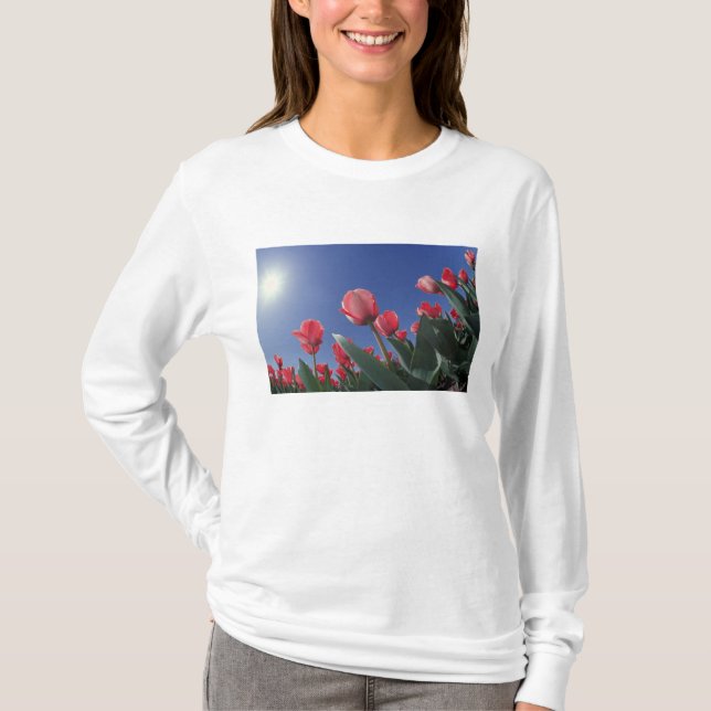 Rote Tulpen aus sehr geringem Winkel, Cincinnati, T-Shirt (Vorderseite)
