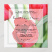 Rote Tulpen, die Einladungen Wedding sind
