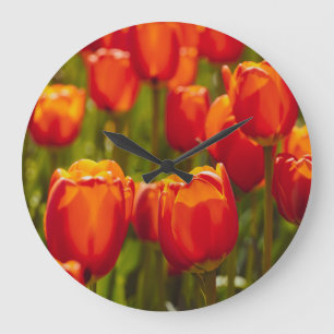 Rote Tulpen Fotodruck. Fotoabzug Große Wanduhr