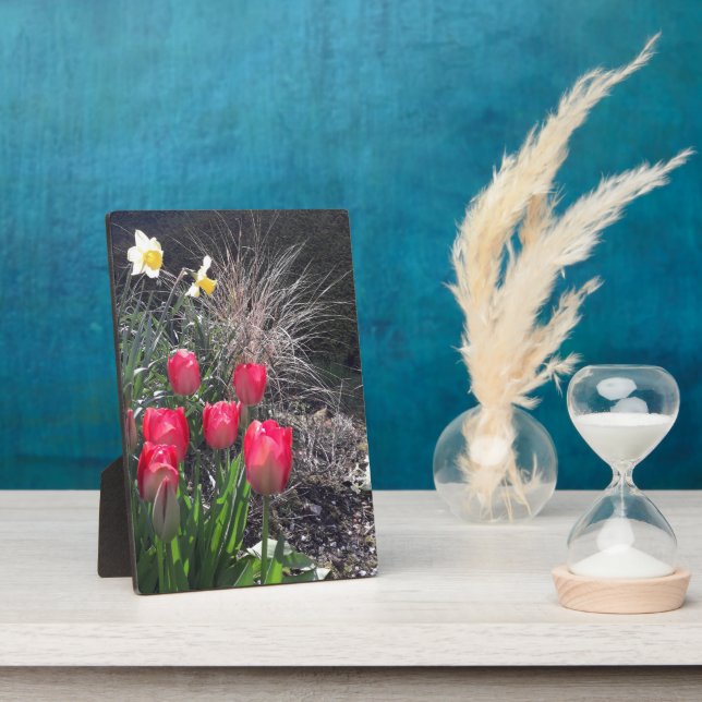 Rote Tulpen im Garten Fotoplatte (Seite)