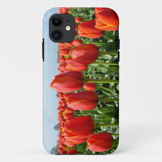 Rote Tulpen, iPhone 5 Abdeckung Case-Mate iPhone Hülle (Rückseite)