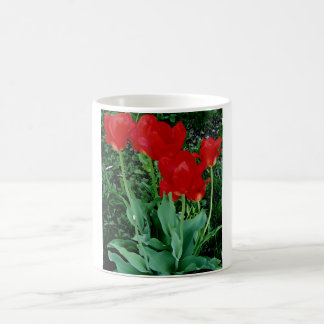Rote Tulpen Kaffeetasse