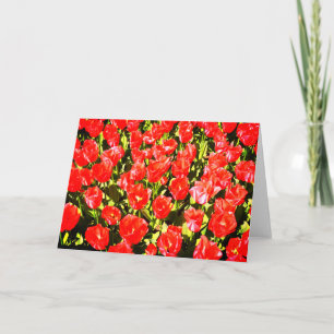 Rote Tulpen Karte