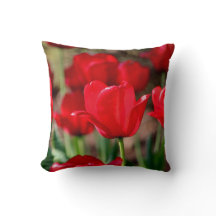Rote Tulpen