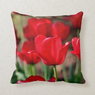 Rote Tulpen Kissen