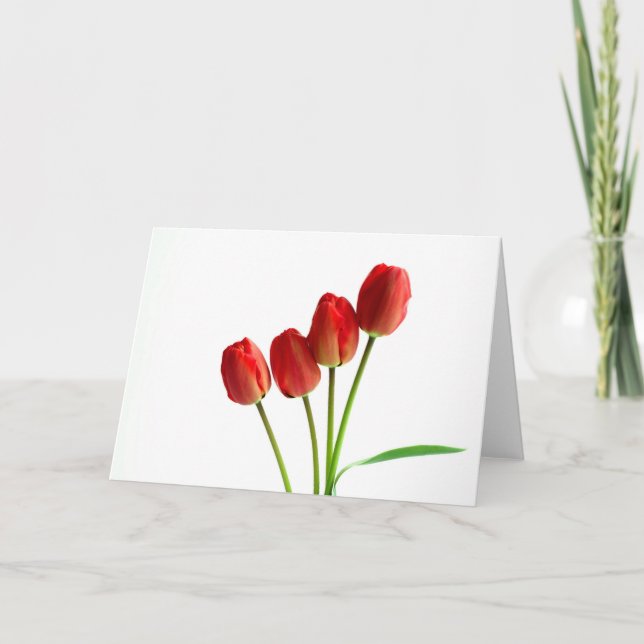 Rote Tulpen, leere Grüße Karte (Vorderseite)