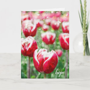 rote Tulpen mit Regentropfen auf Fensterglas Mitge Karte