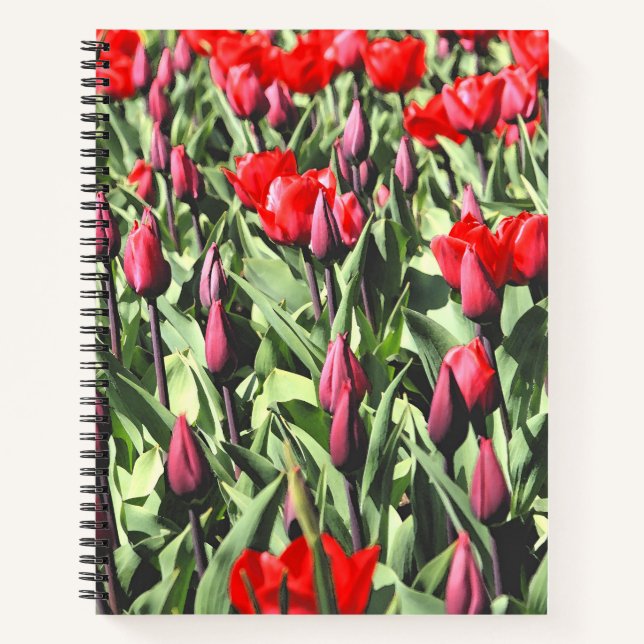 Rote Tulpen Notizbuch (Vorderseite)