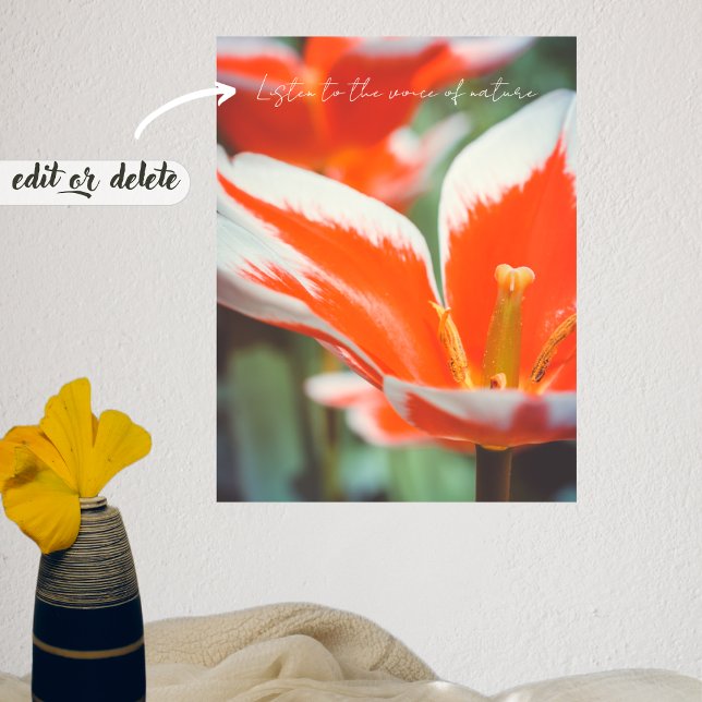 Rote Tulpen Poster (Von Creator hochgeladen)