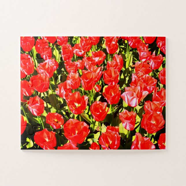 Rote Tulpen Puzzle (Horizontal)